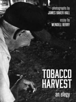 cover image of Tobacco Harvest